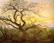 Tree with crows Caspar David Friedrich